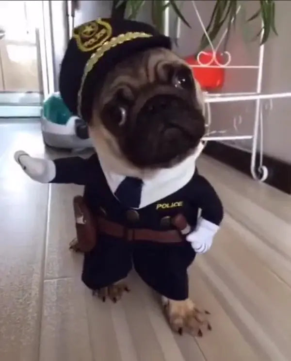 FrightPet™ Creepy Cuteness Unleashed