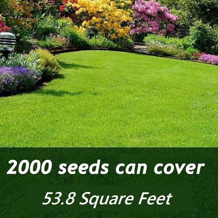 EcoSprout™ Low-Maintenance Growth