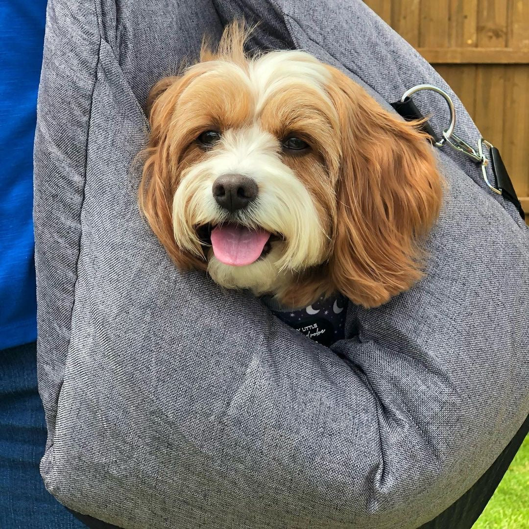 PupRest™ Cushioned Journey Support