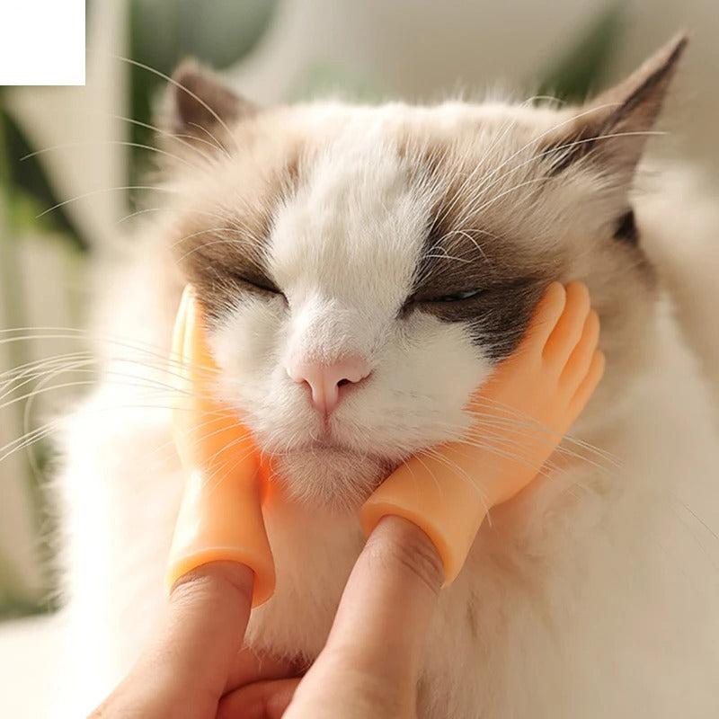CatPal™ Instant Cat Engagement