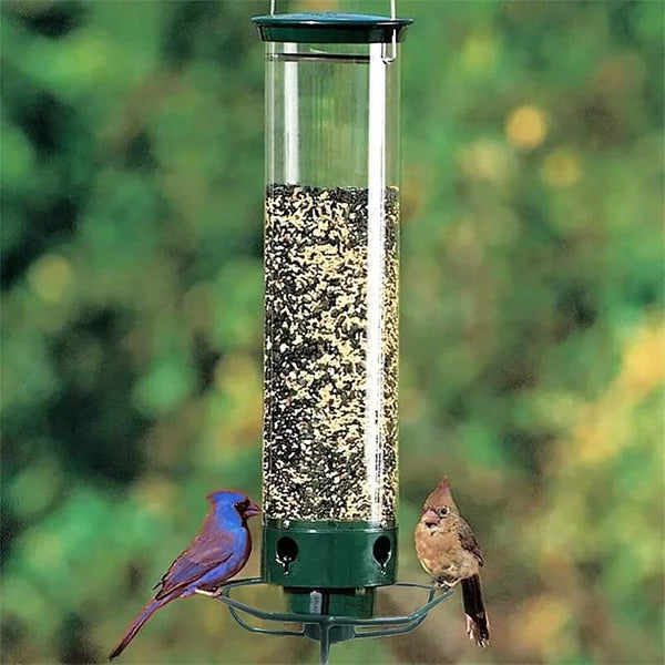 FeatherFeast™ Nurture Winged Friends