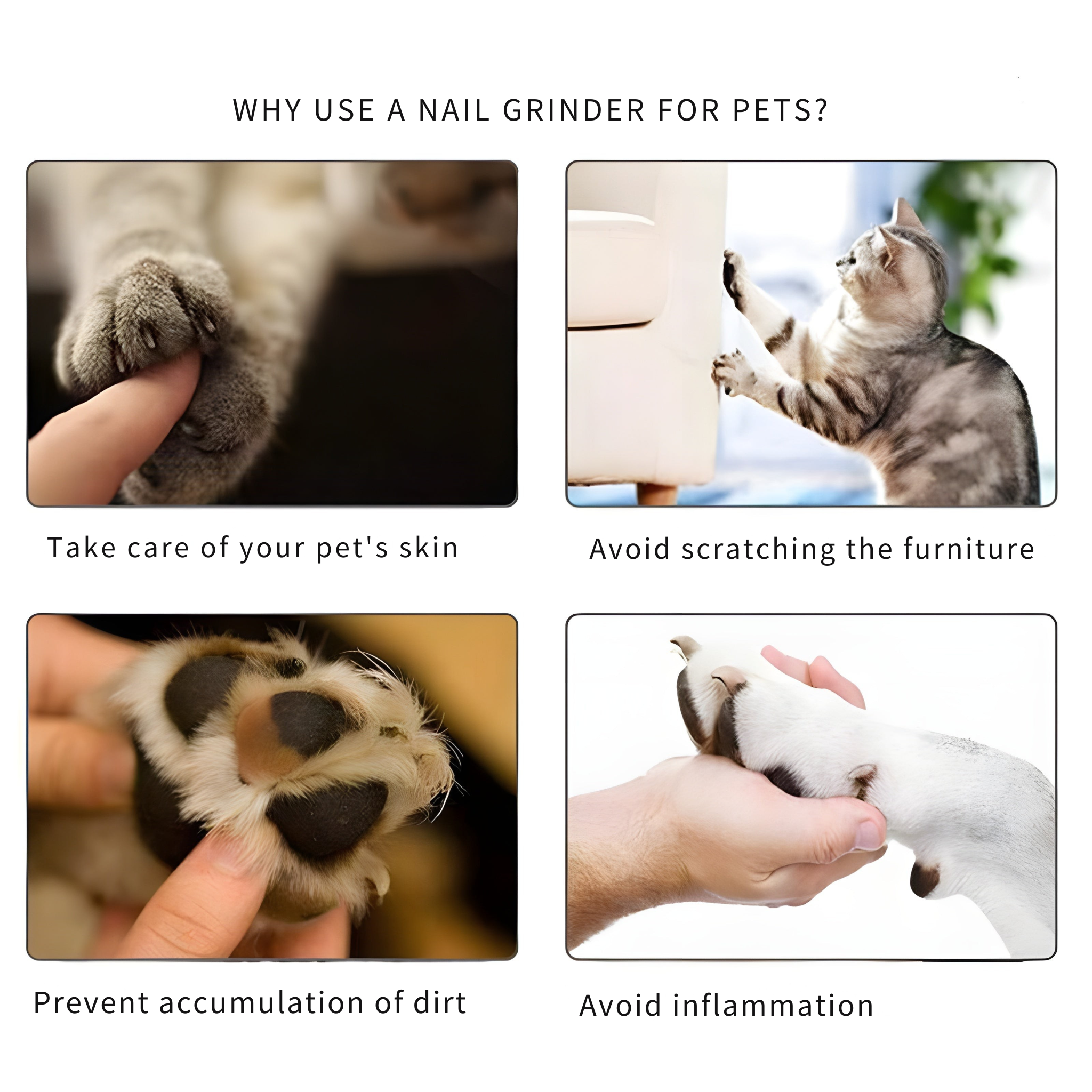 PawTrim™ Comfortable Pet Grooming