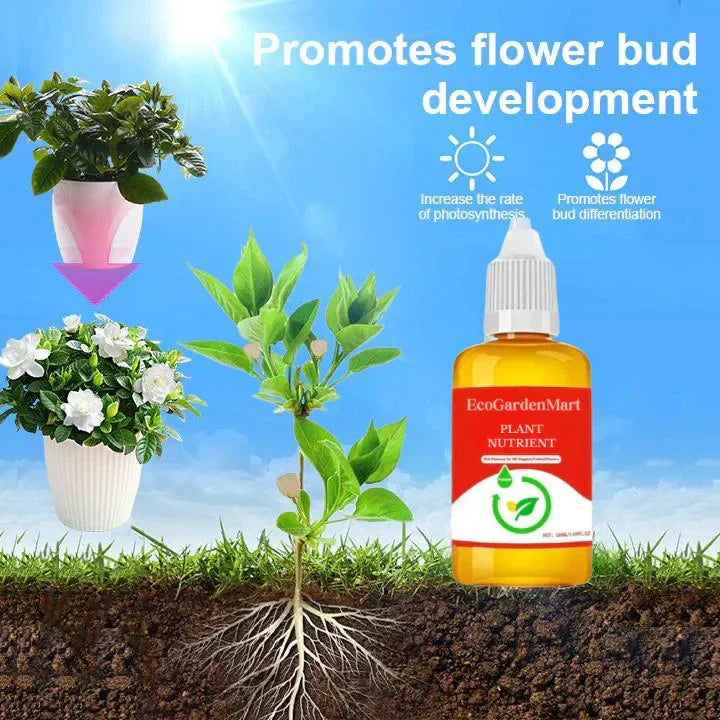 2+1 Free | RootRise™ Faster Plant Recovery