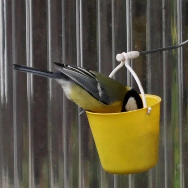FeederMagic™ Whimsical Bird Entertainment