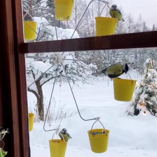 FeederMagic™ Whimsical Bird Entertainment