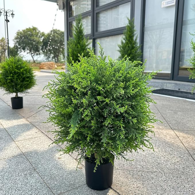 CedarGreen™ Instant Landscape Upgrade