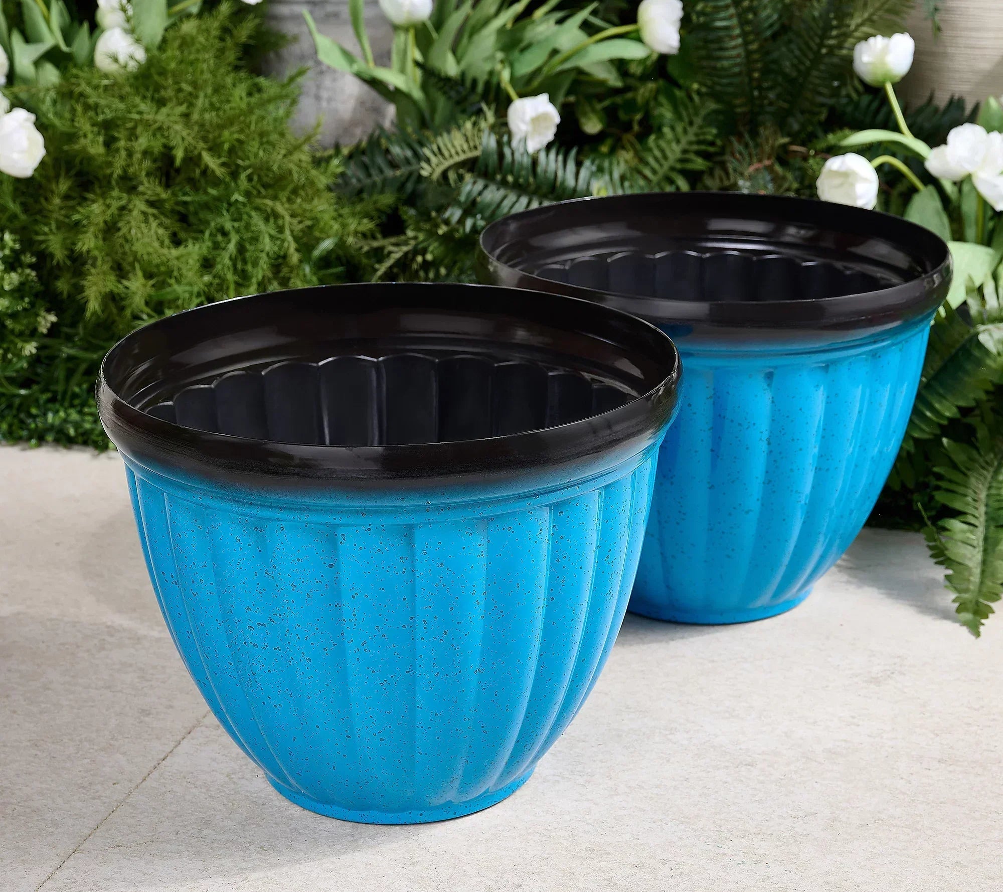 GreenNest™ Carefree Plant Living