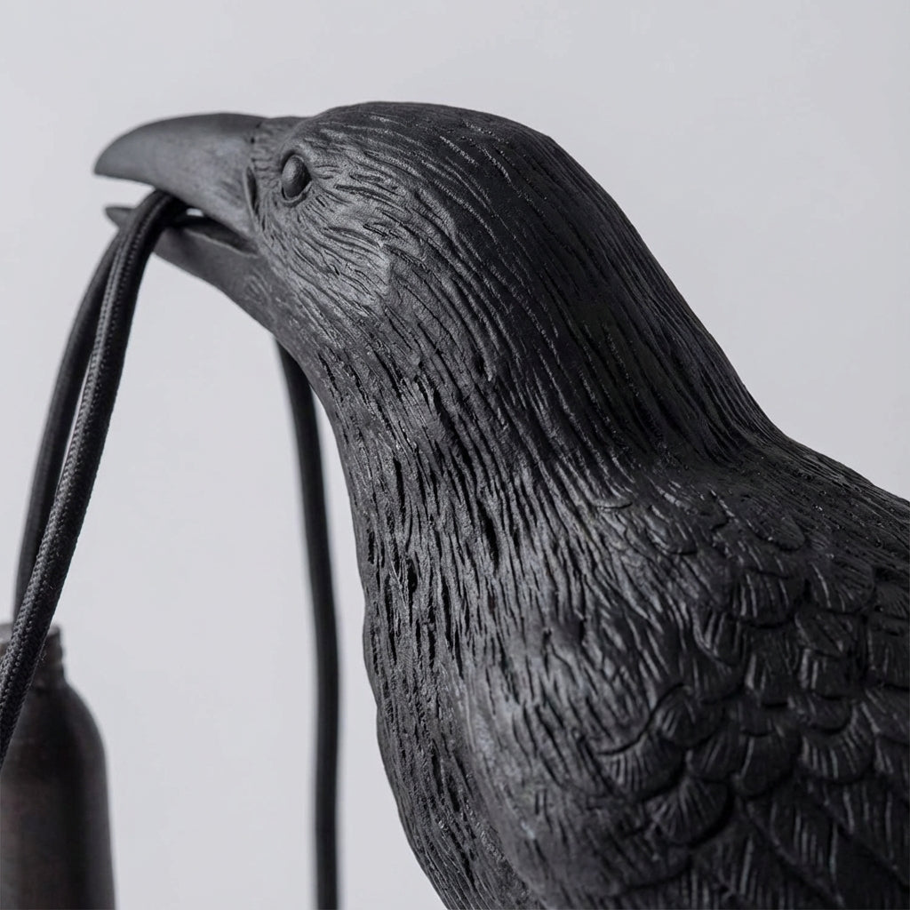 Artistic decorative lighting – Ravenlyx