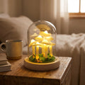 DIY Table Lamp Set – Luminshroom