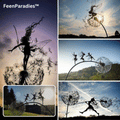 FairyHaven™ Enchanting Yard Decor