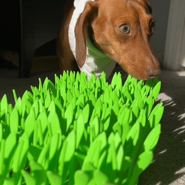 FeastMat™ Mess-Free Mealtime Mat