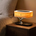 Multifunctional Desk Lamp – Treonix