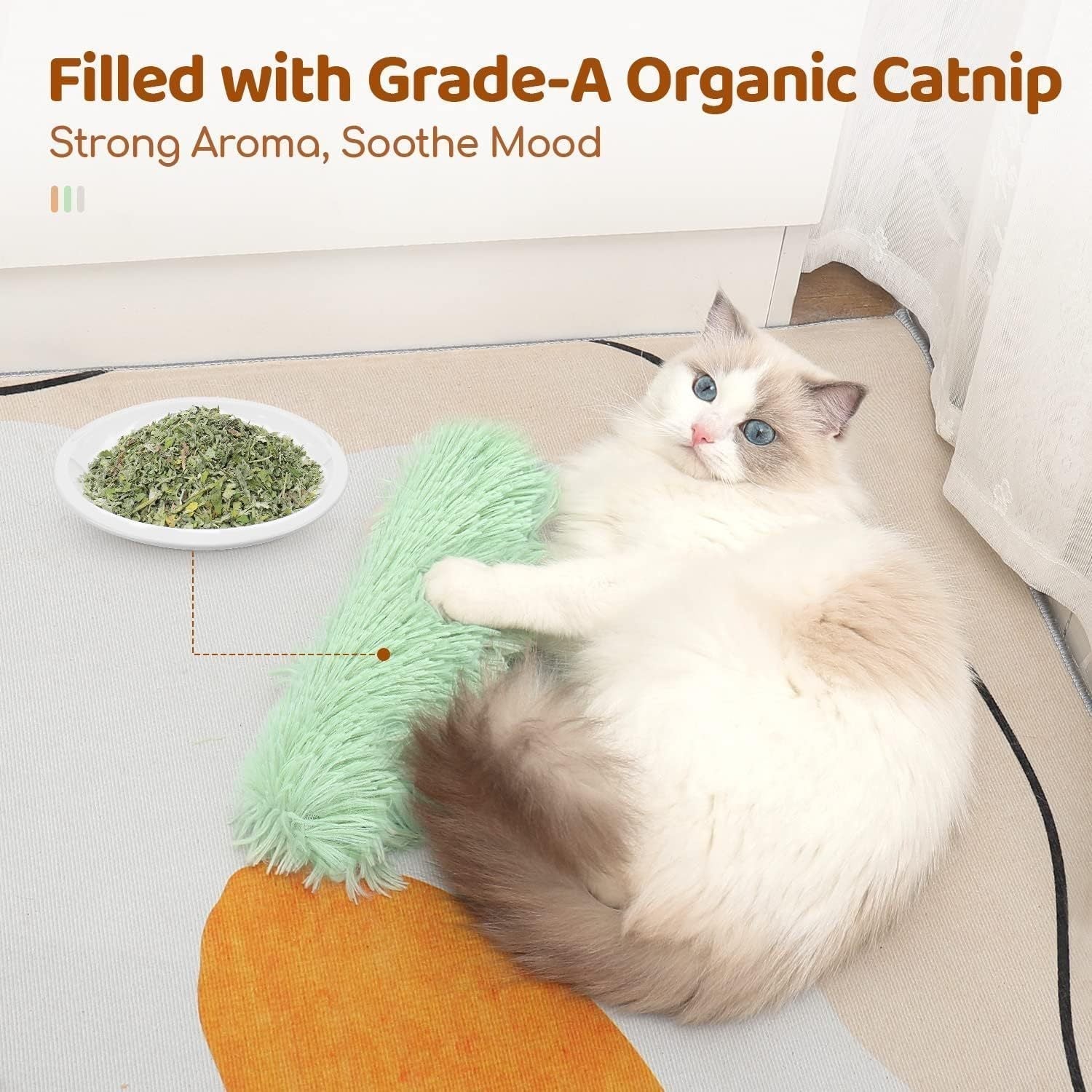 TailTease™ Engages Playful Curiosity
