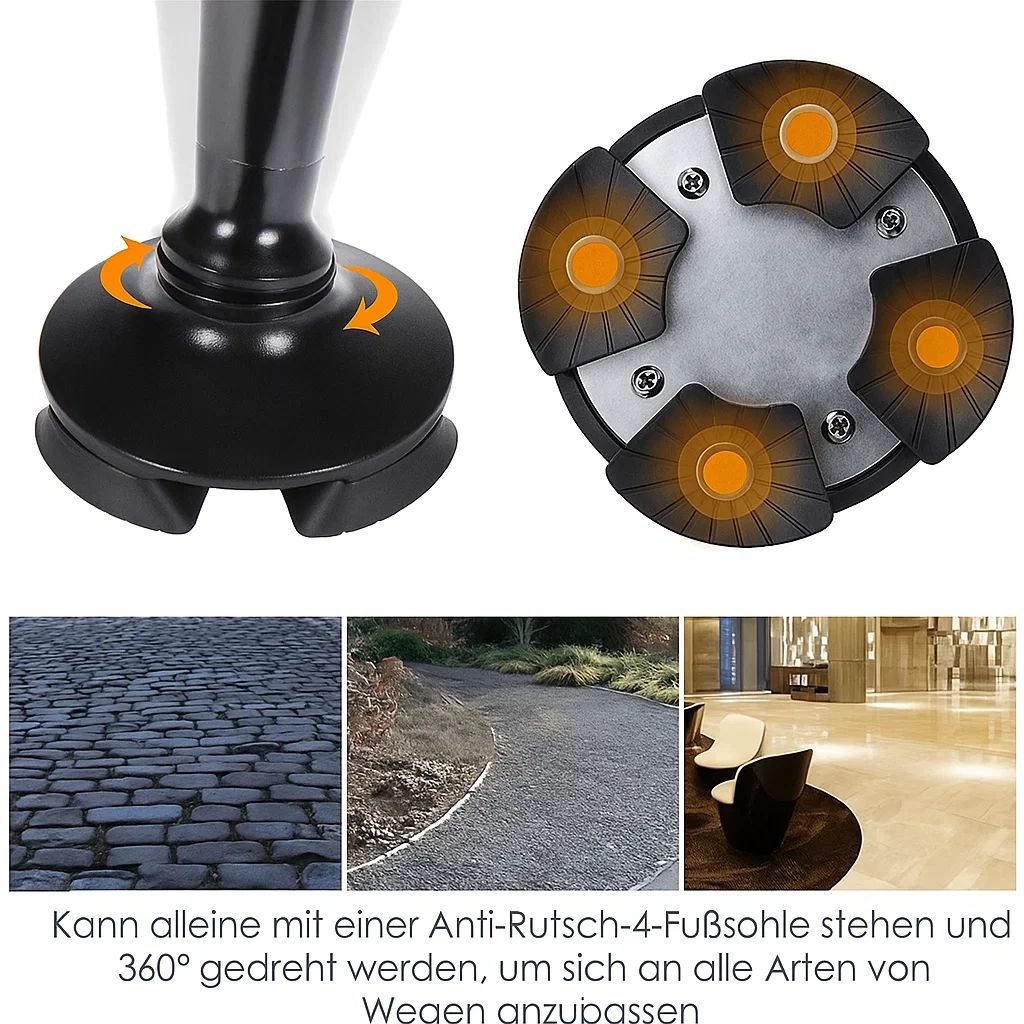 LumiWalk™ Guided Night Walks
