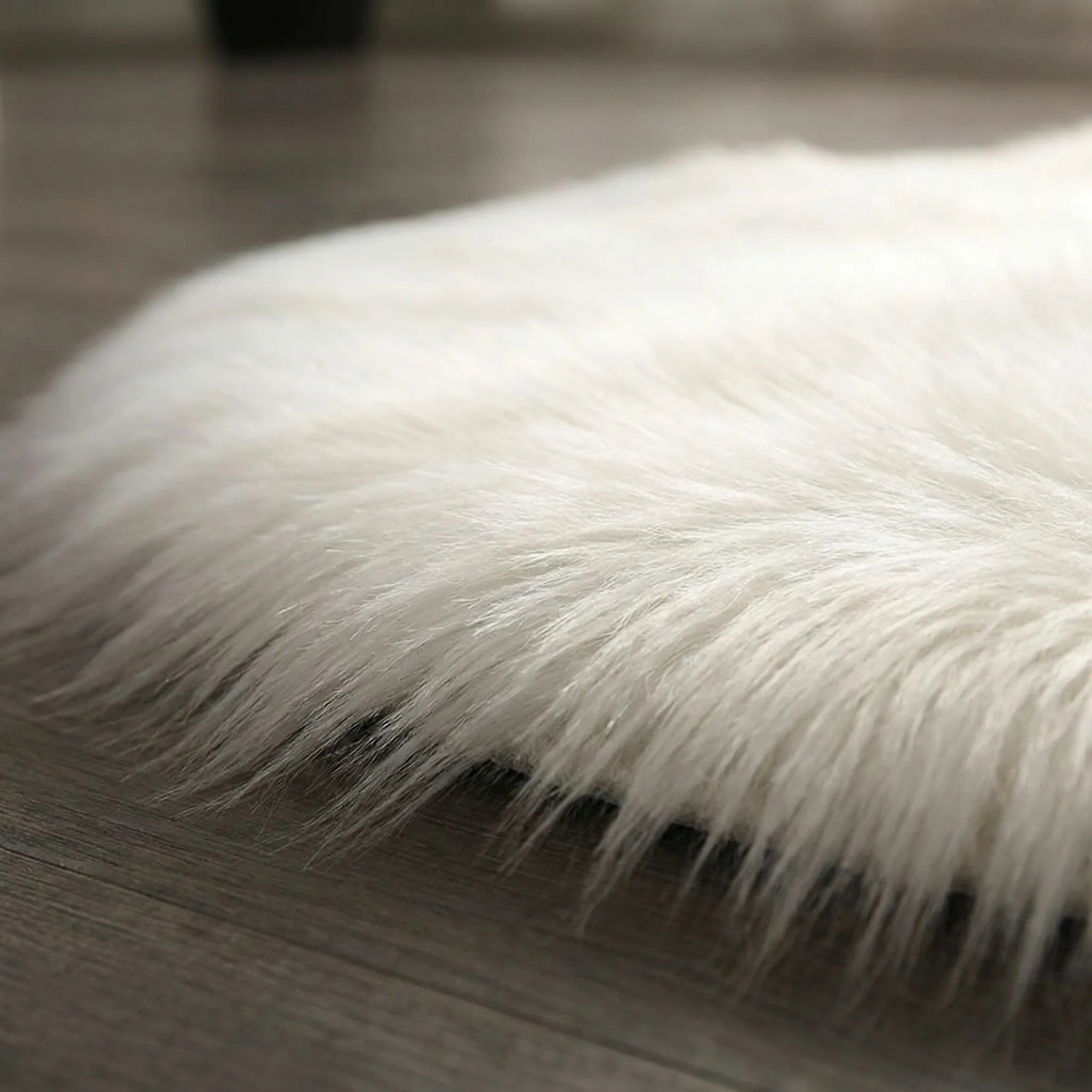 Round Plush Accent Rug - Plushio