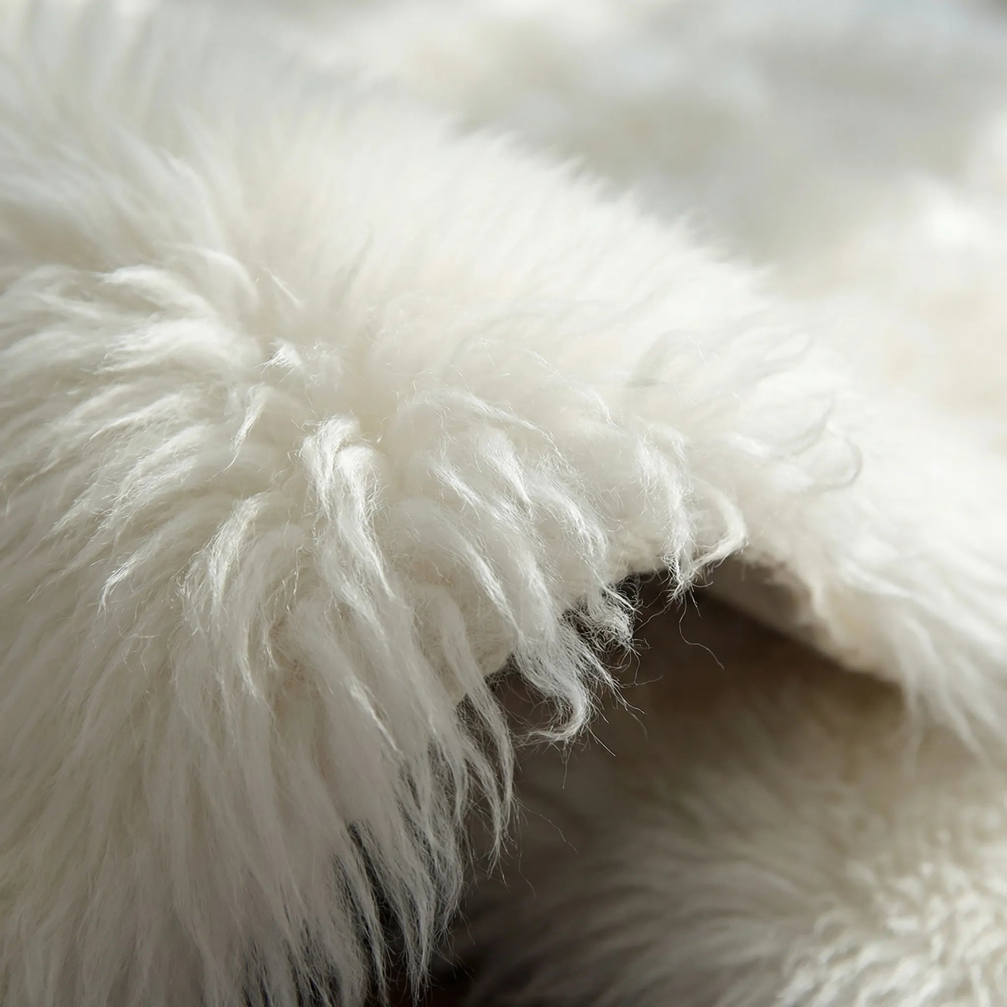 Ultra Plush Area Rug - Cloudoria