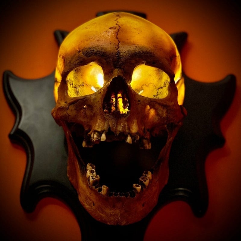 Wall Mounted Skull Lamp - Nocturiskull