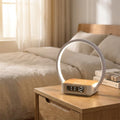Cordless rechargeable desk lamp – CircaCharge