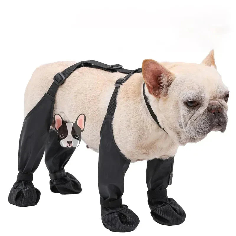 PawArmor™ Happy Paws Anywhere