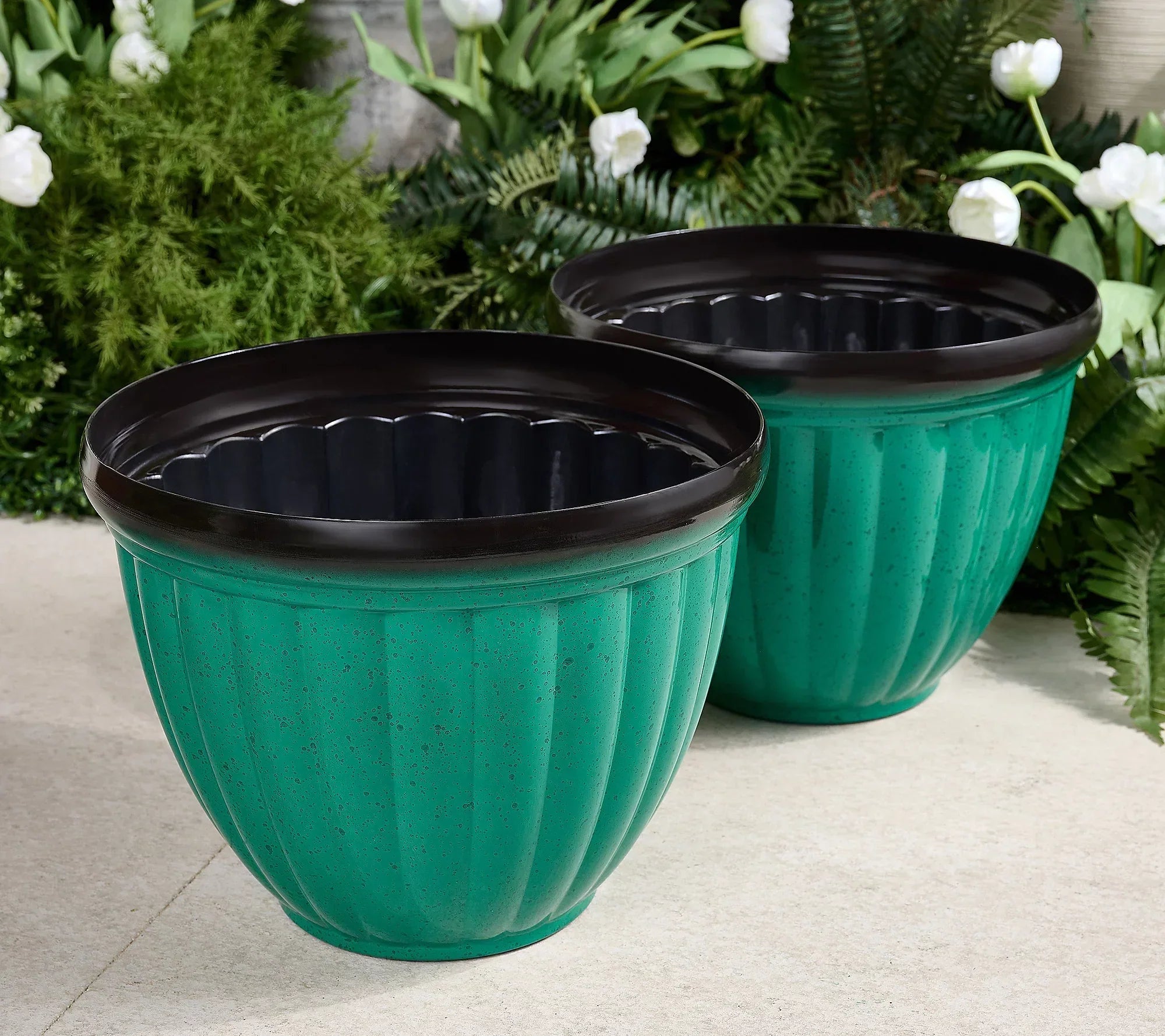 GreenNest™ Carefree Plant Living