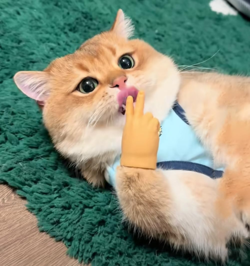CatPal™ Instant Cat Engagement