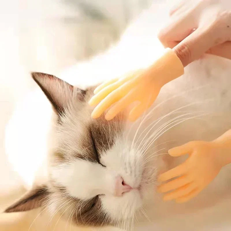 CatPal™ Instant Cat Engagement