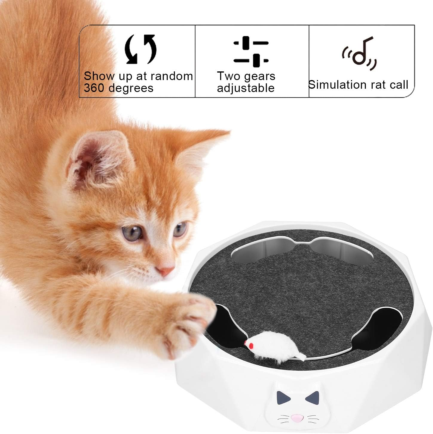 WhiskerChase™ Active Feline Entertainment