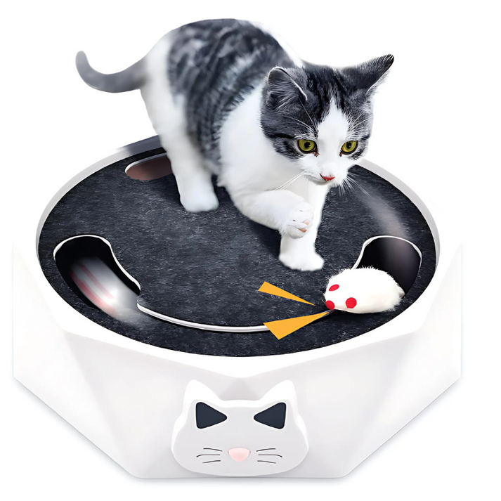WhiskerChase™ Active Feline Entertainment