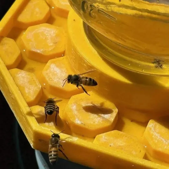 HiveDrink™ Hydrates Pollinator Life