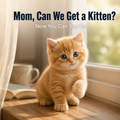 Nico™ — Cuddle a Kitten That Purrs Back the Moment Your Child Pets It